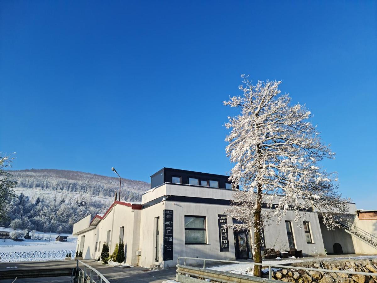 Roof Apartment Art-Pe Trebnje Екстер'єр фото